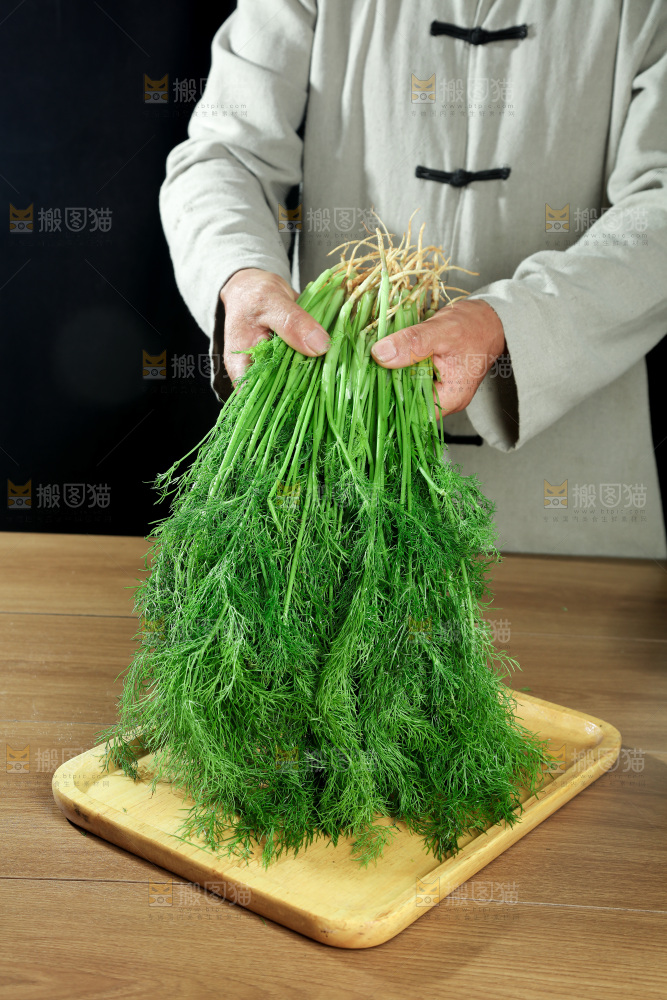 茴香