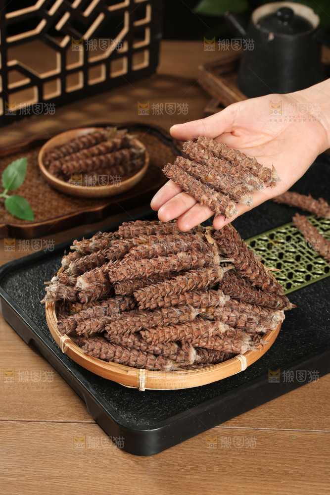 夏枯草