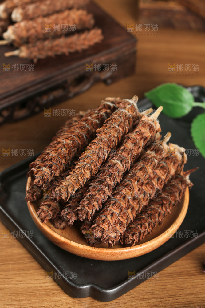夏枯草