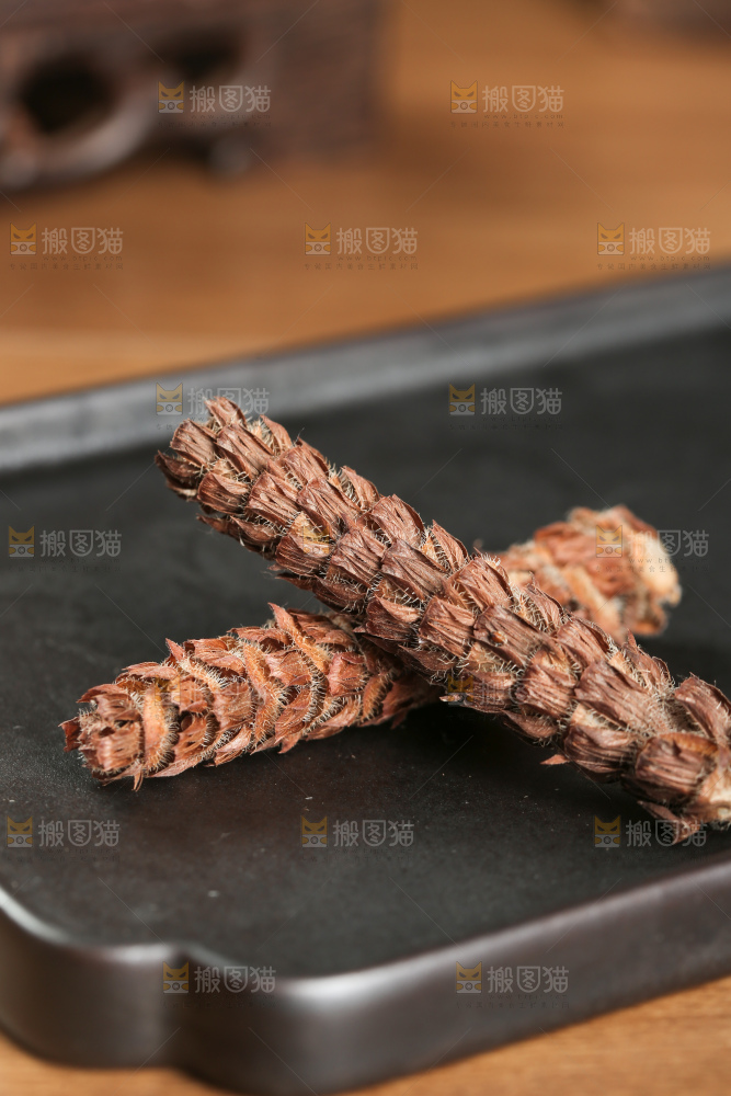 夏枯草
