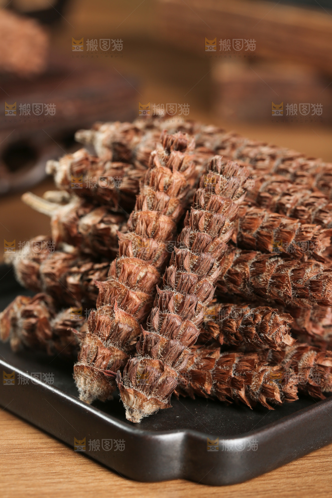 夏枯草