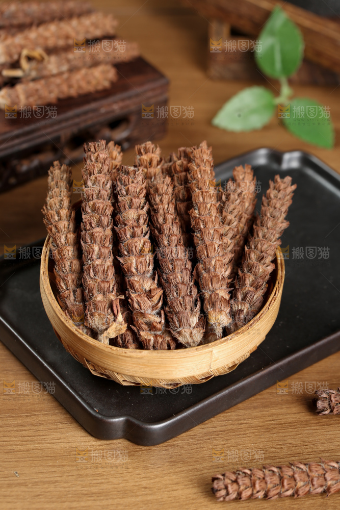 夏枯草