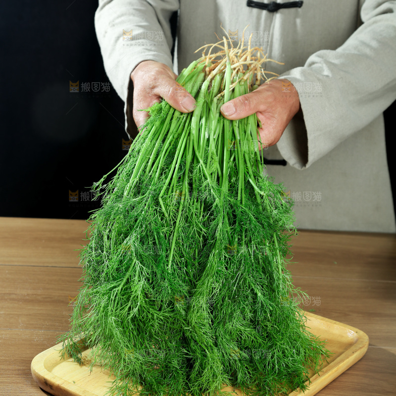 茴香