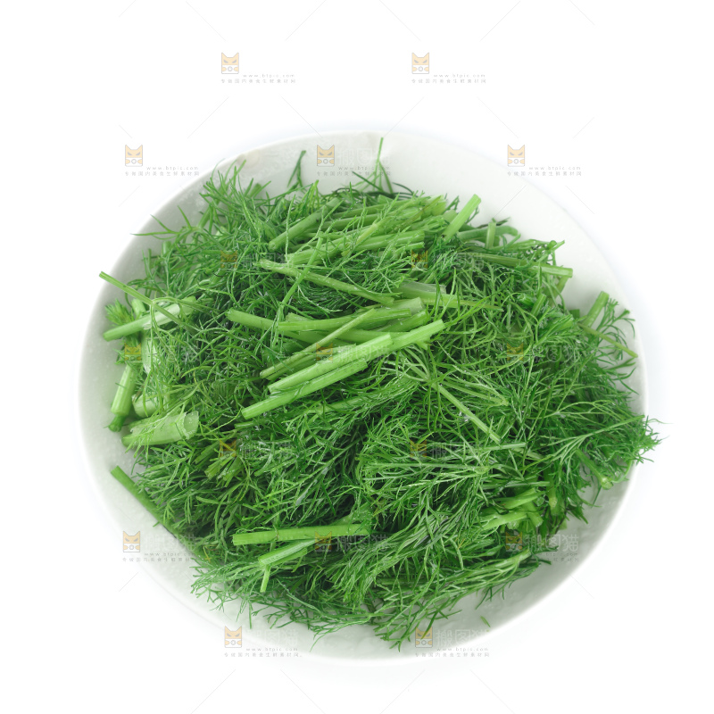 茴香