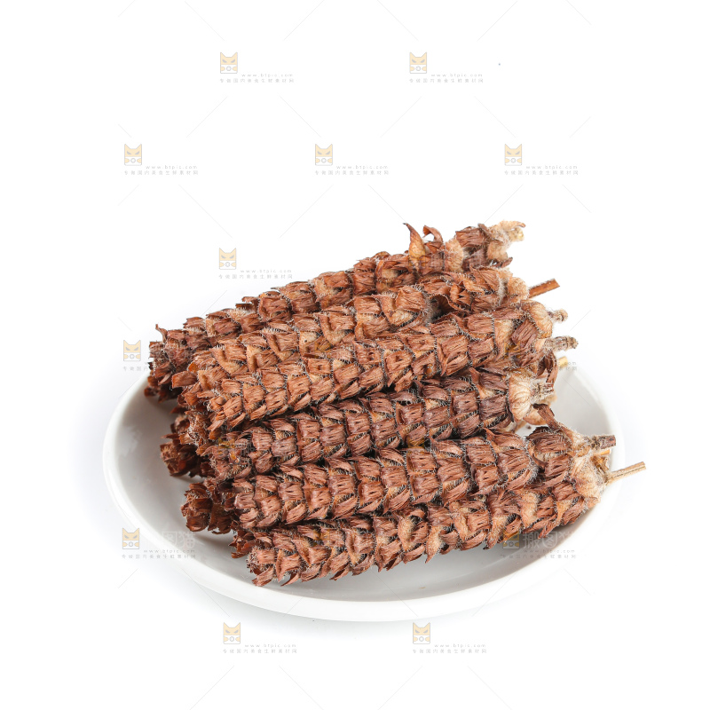 夏枯草