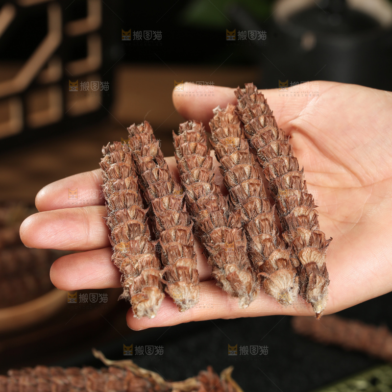 夏枯草