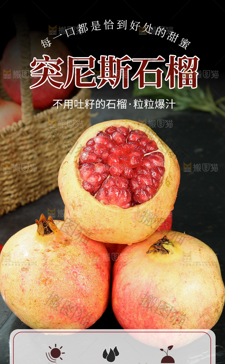 突尼斯石榴详情页