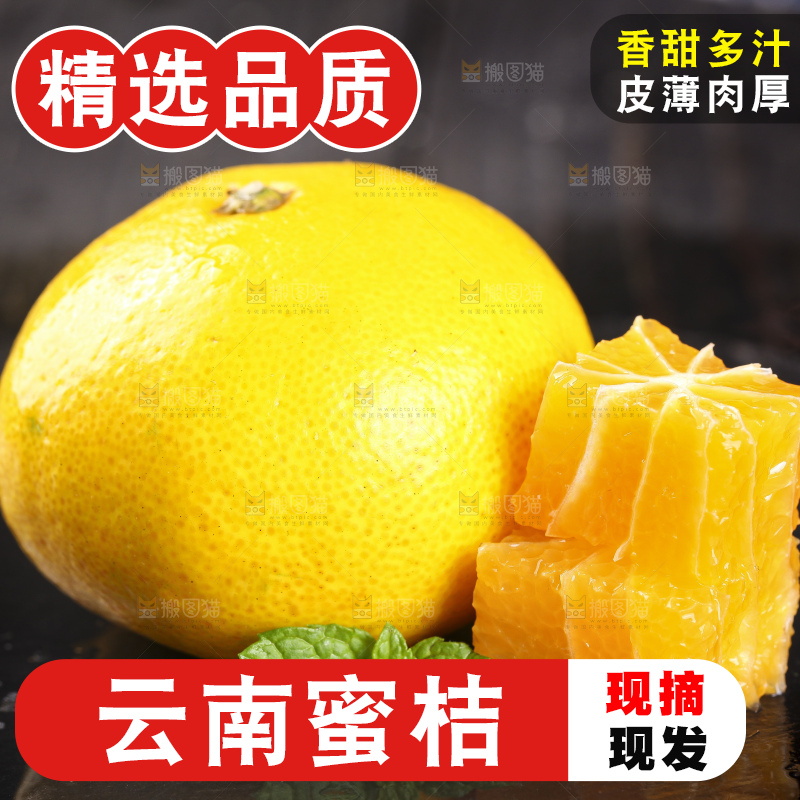 蜜桔
