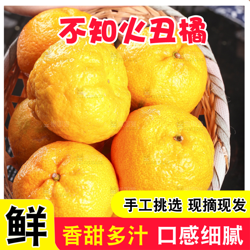 丑橘