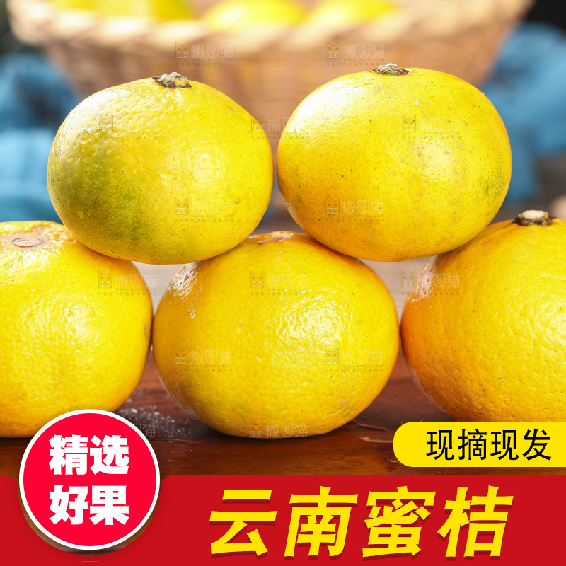 蜜桔
