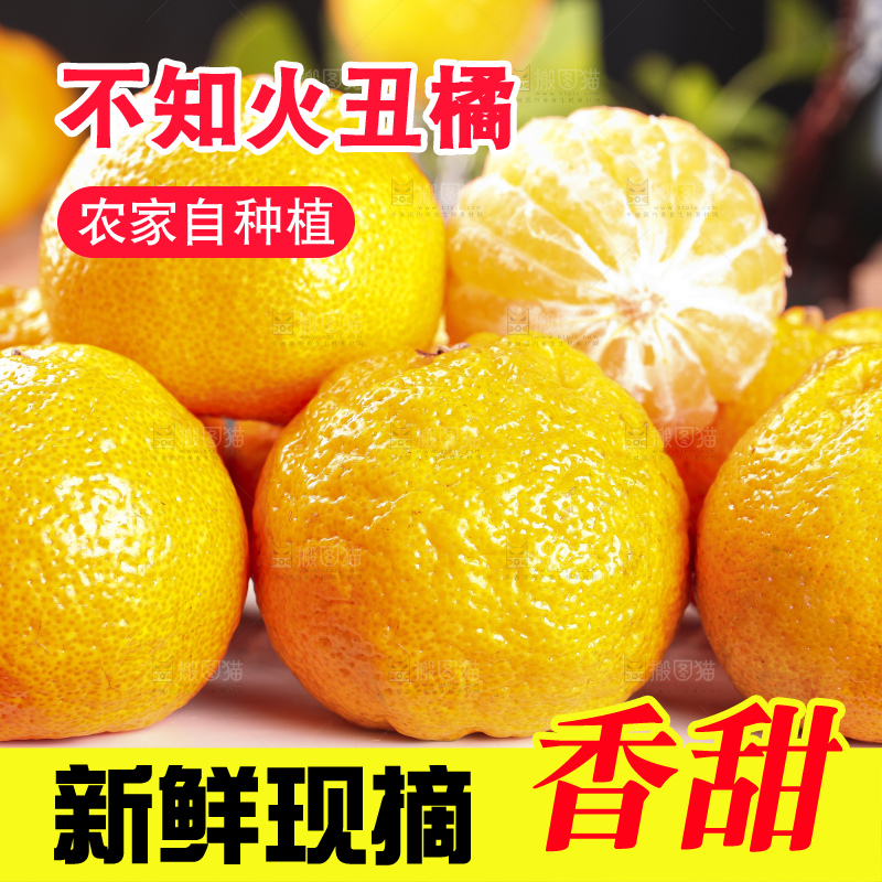 丑橘