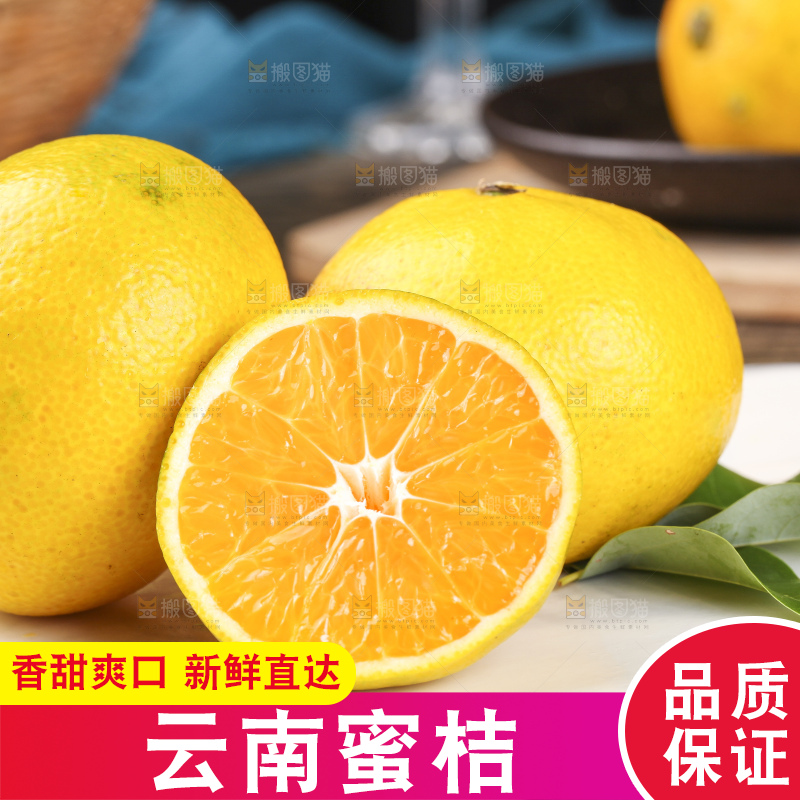 蜜桔