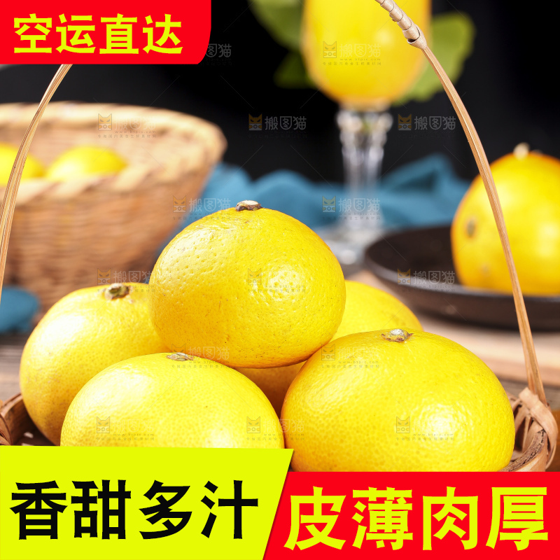 蜜桔