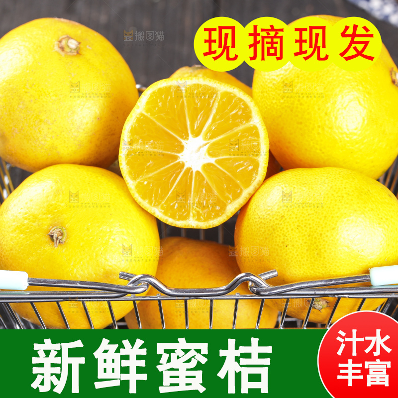 蜜桔