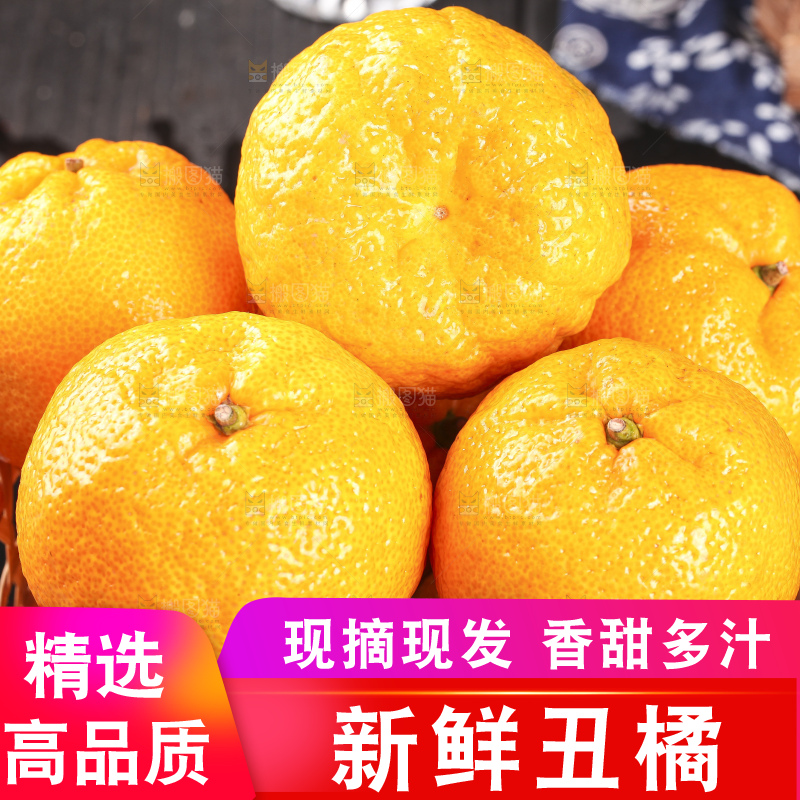 丑橘