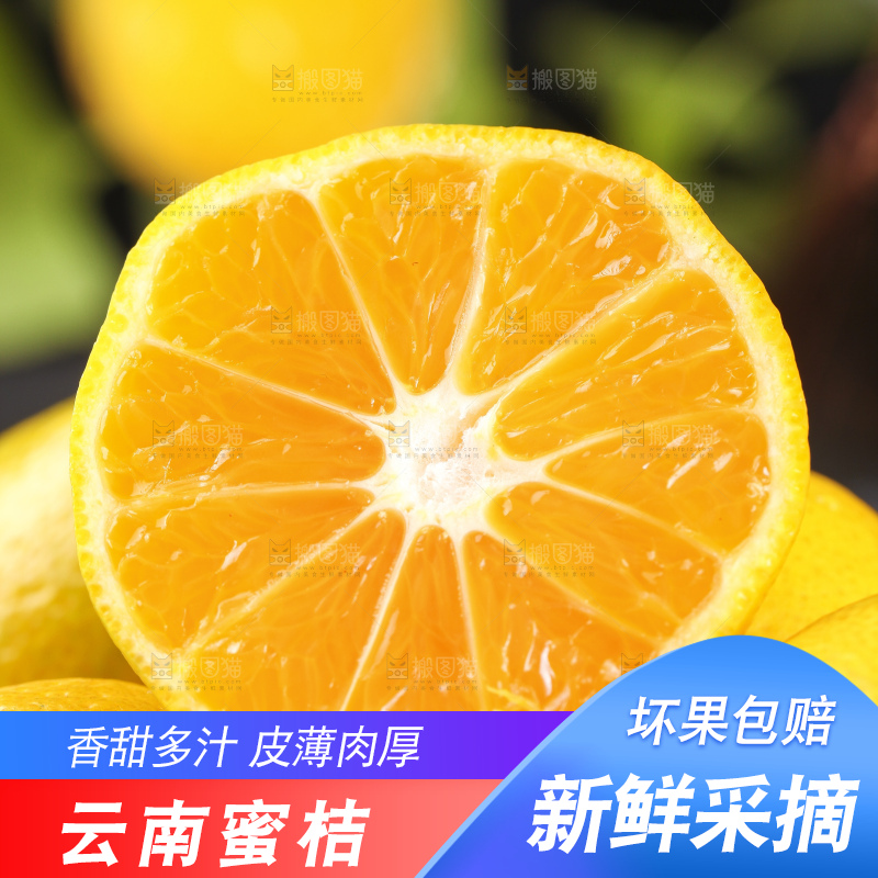 蜜桔