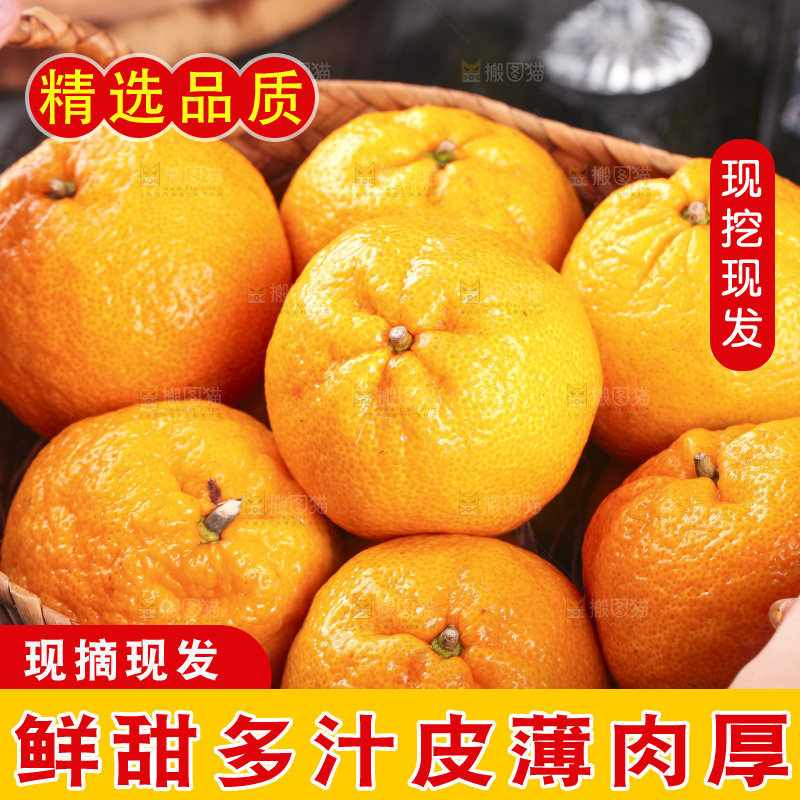 丑橘