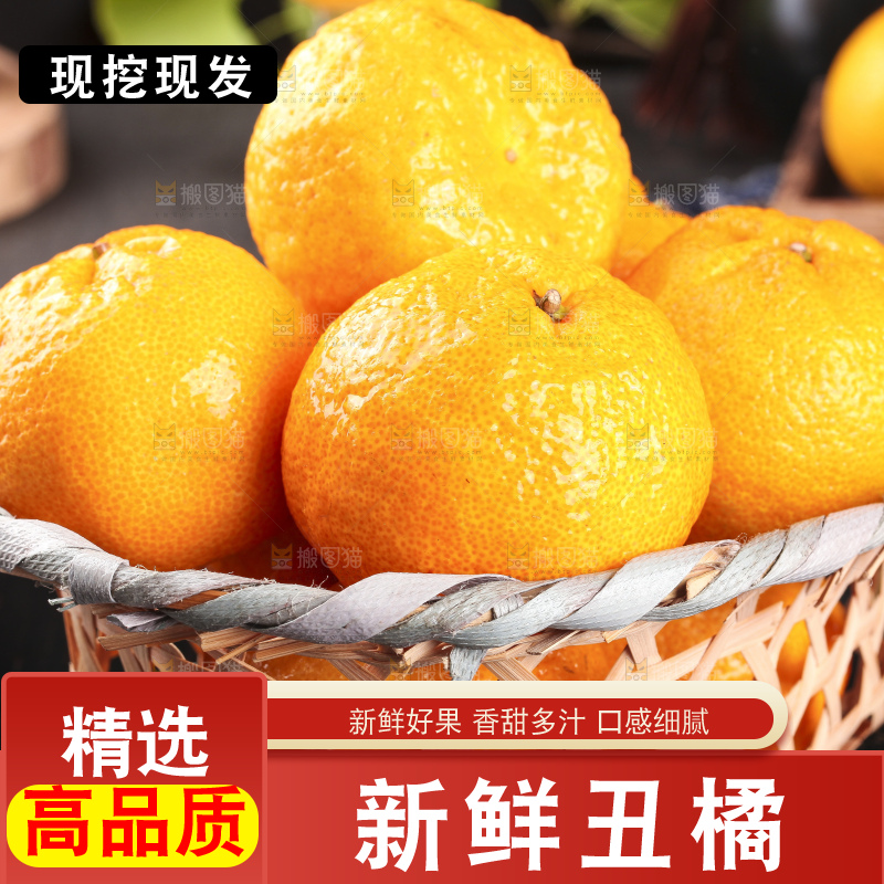 丑橘