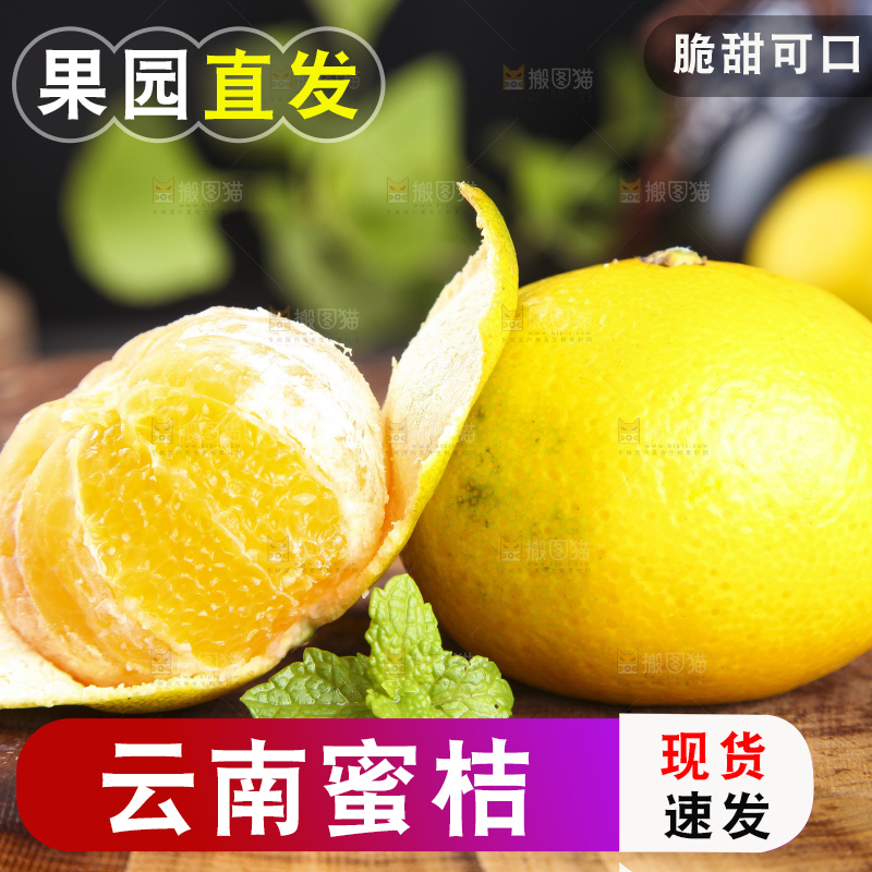 蜜桔