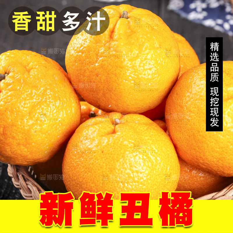 丑橘