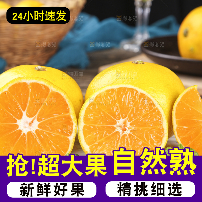 蜜桔