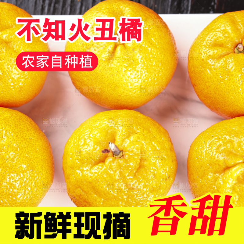 丑橘