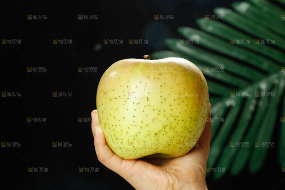 手里拿着青苹果