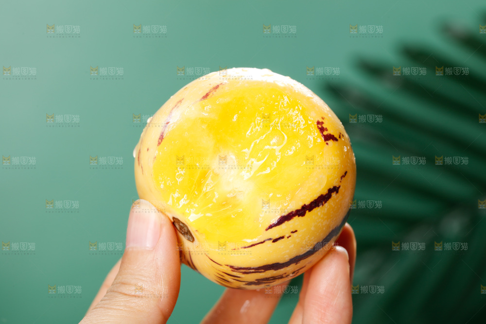 手里拿着石林人参果