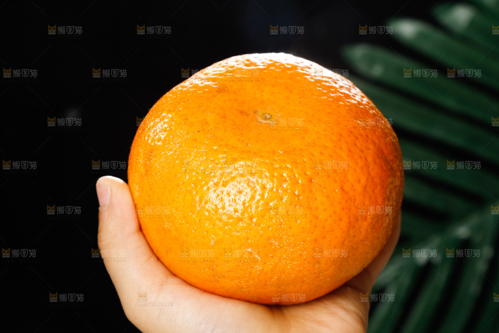 手里拿着沃柑
