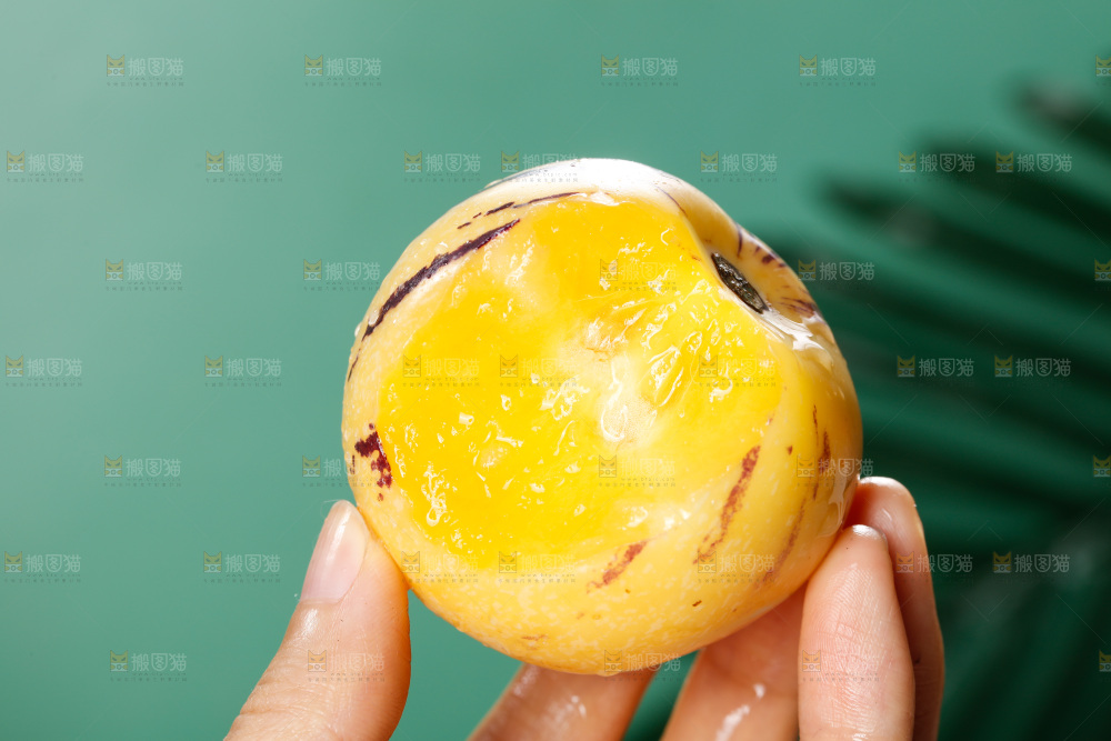 手里拿着石林人参果