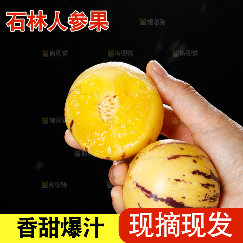 手里拿着石林人参果