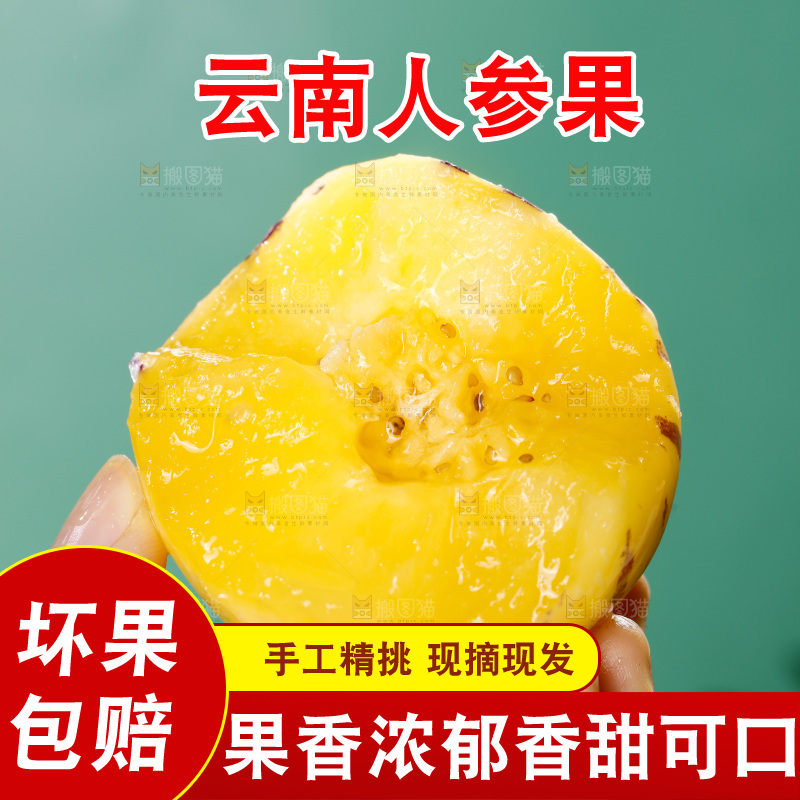 手里拿着石林人参果