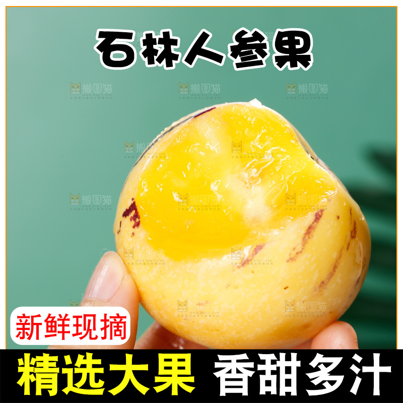 手里拿着石林人参果