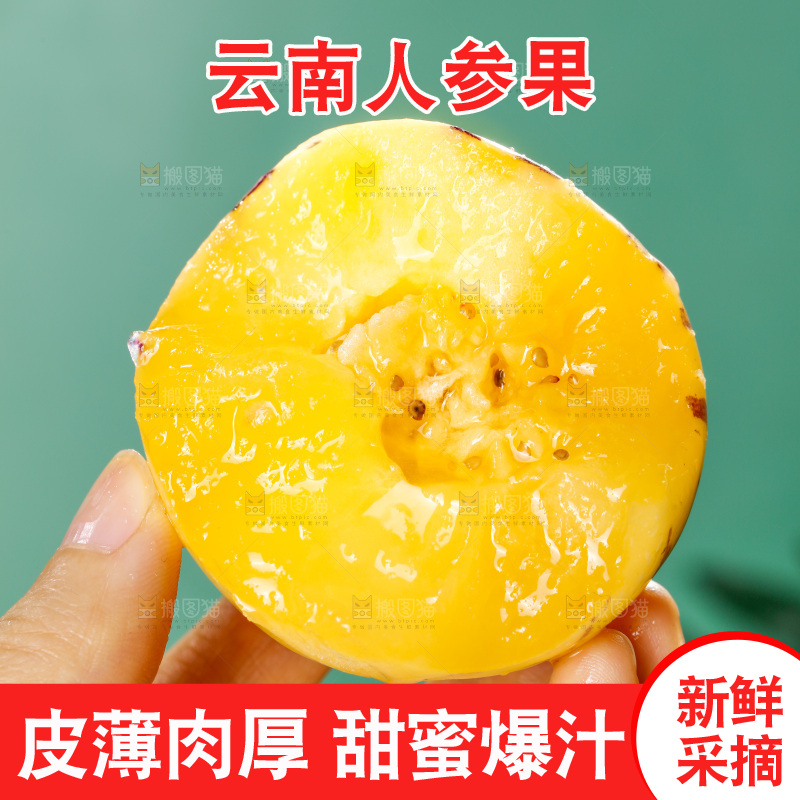 手里拿着石林人参果