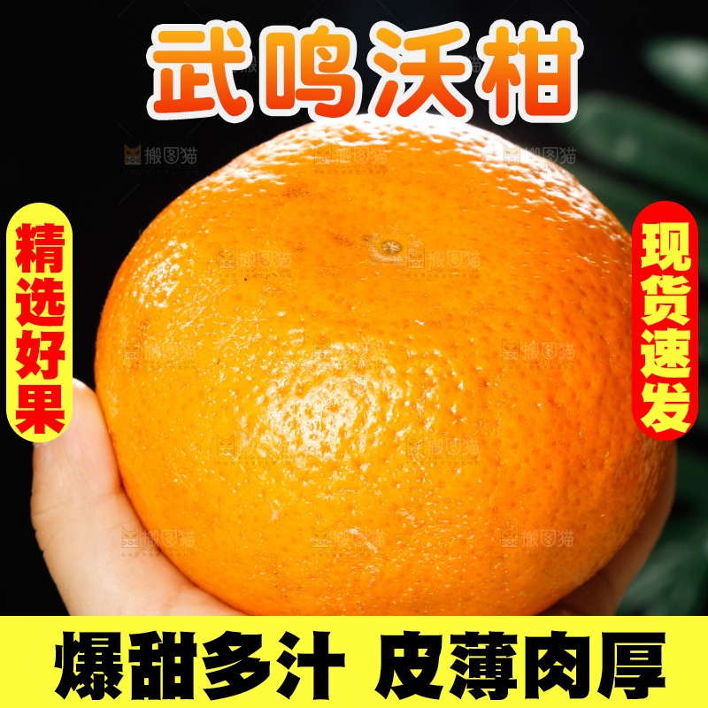 手里拿着沃柑