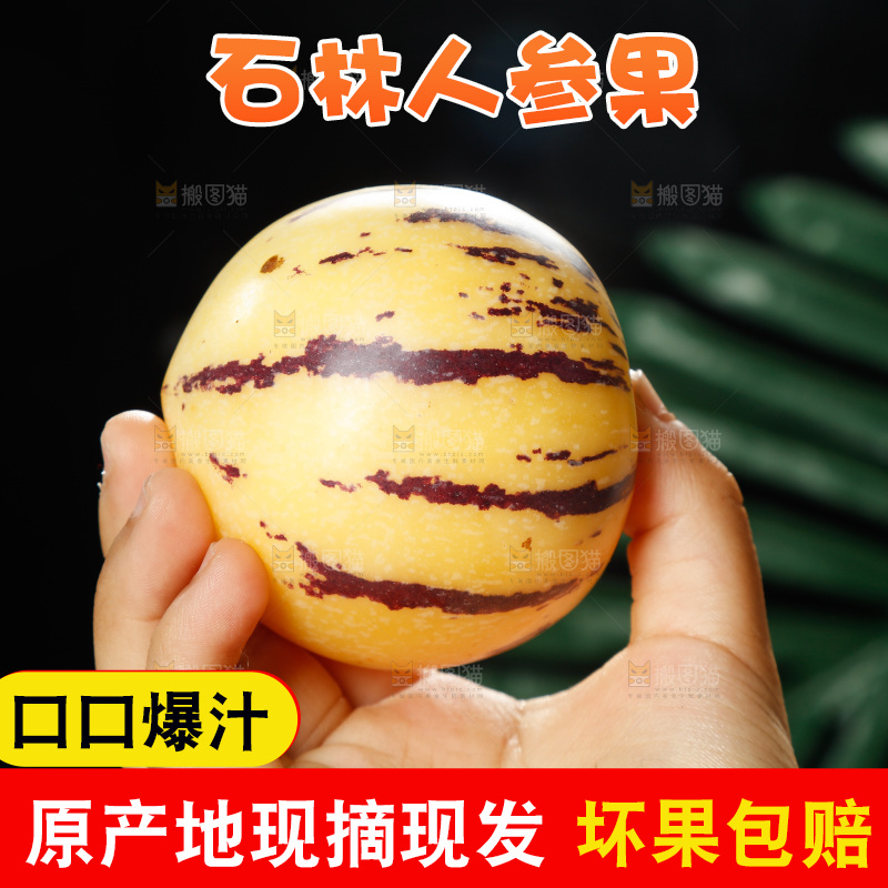 手里拿着石林人参果