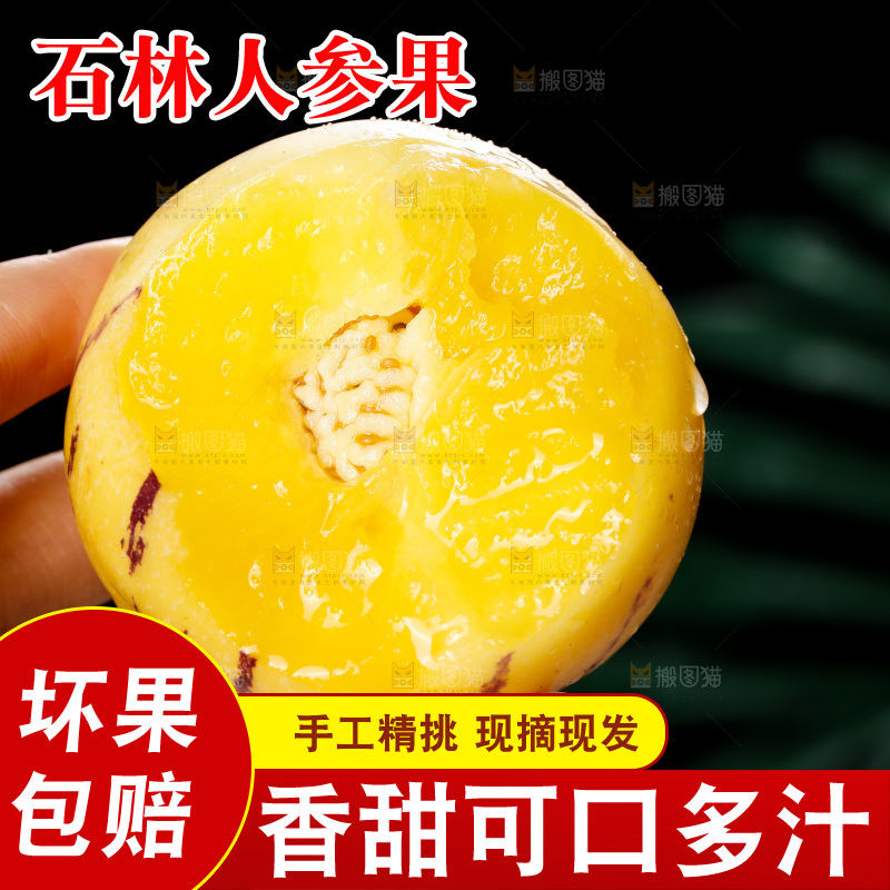 手里拿着石林人参果