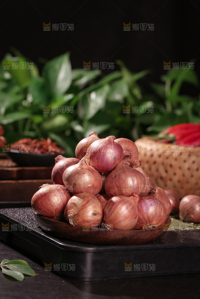 毛葱