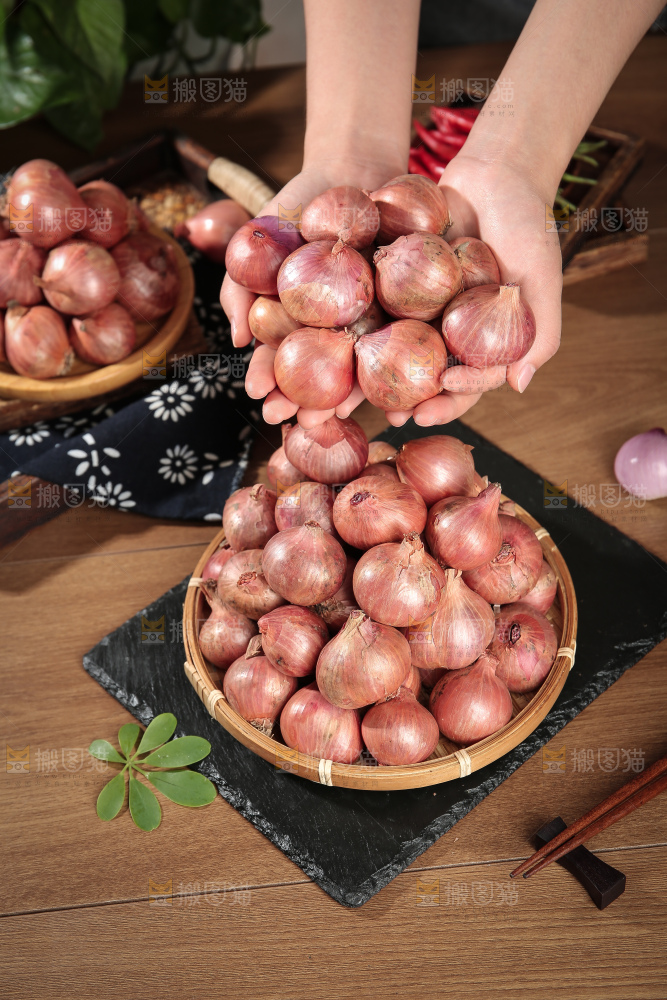 毛葱