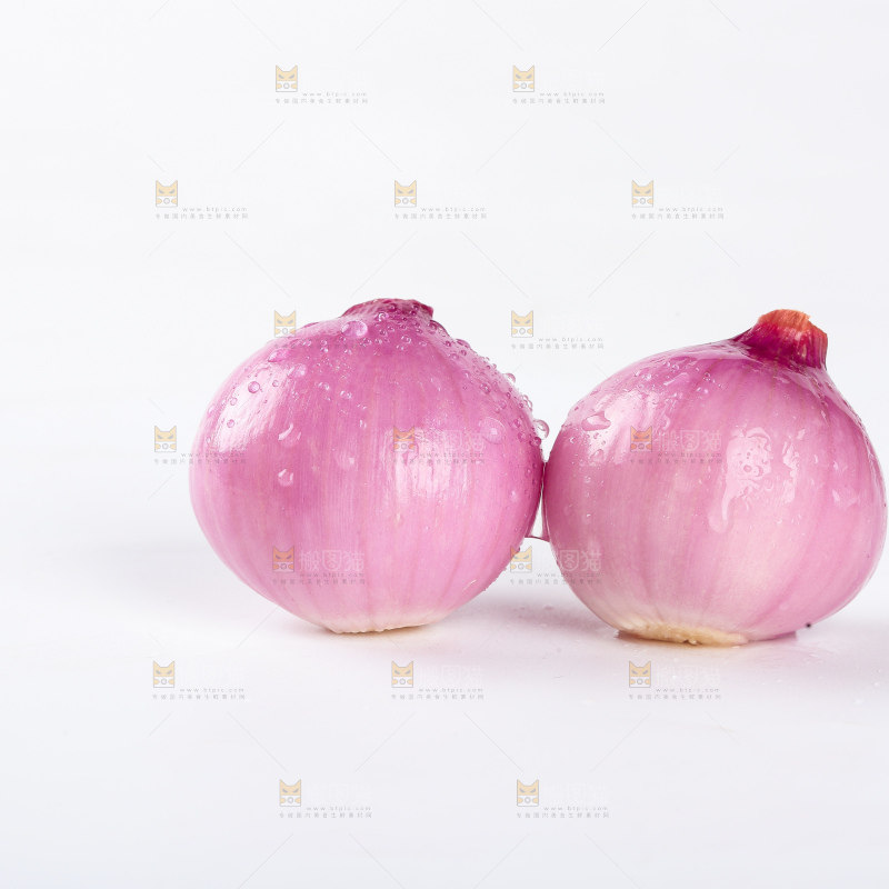 毛葱