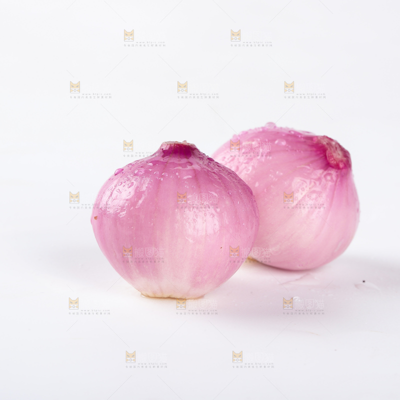 毛葱