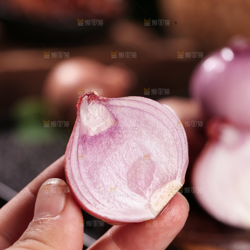 毛葱