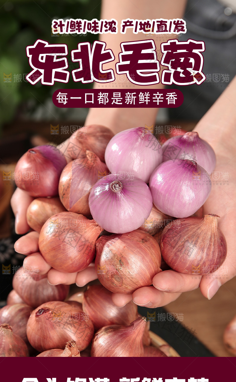 毛葱详情页