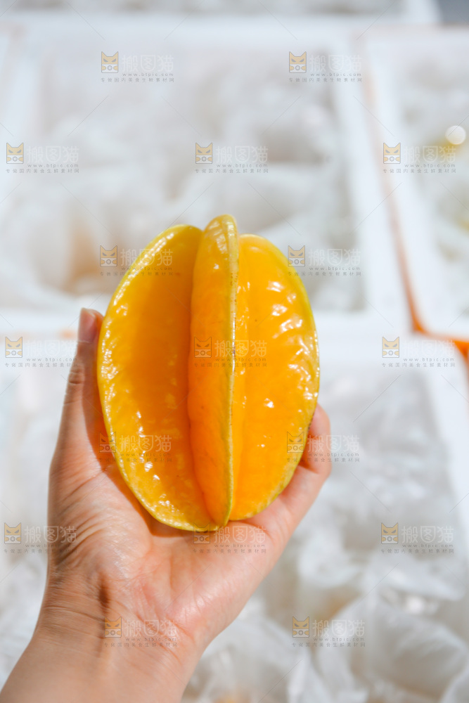 杨桃