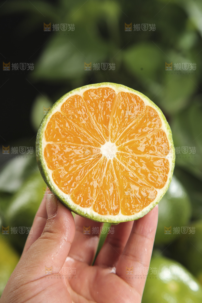 青皮蜜桔