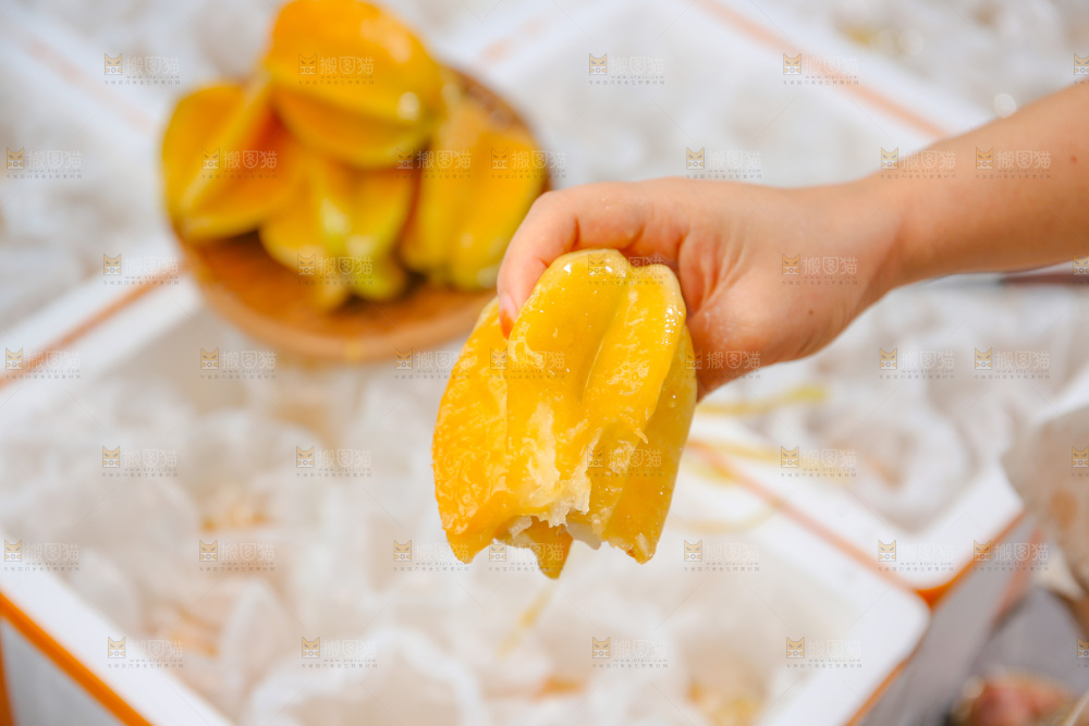 杨桃