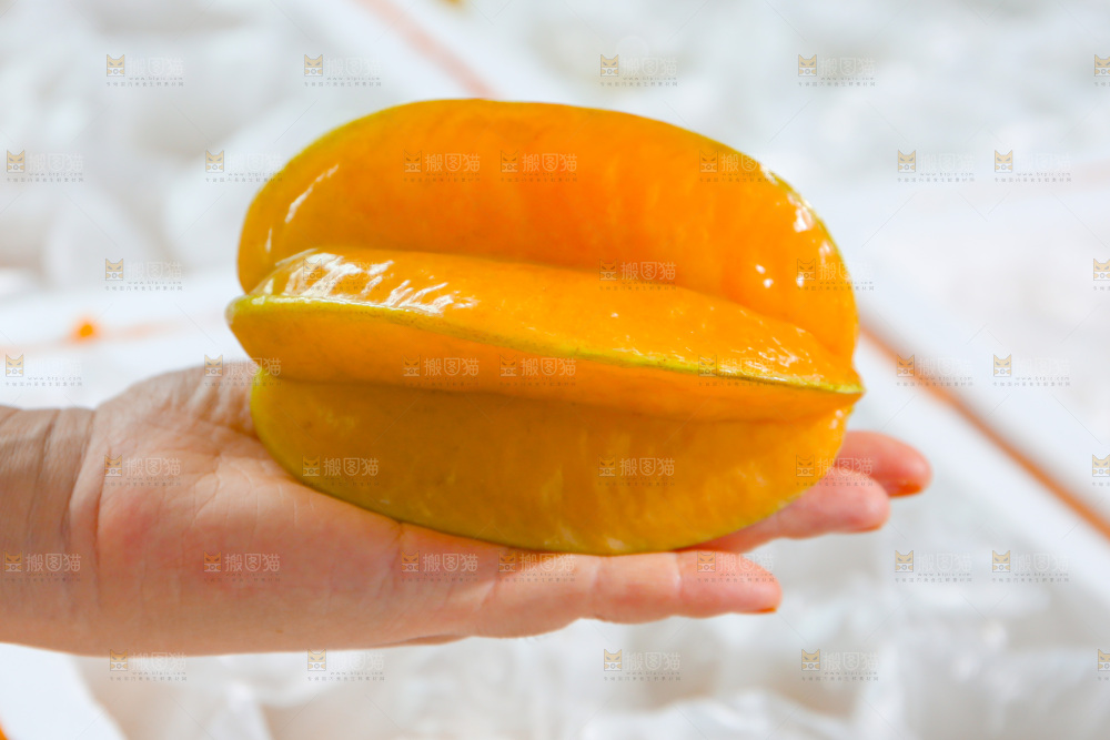 杨桃