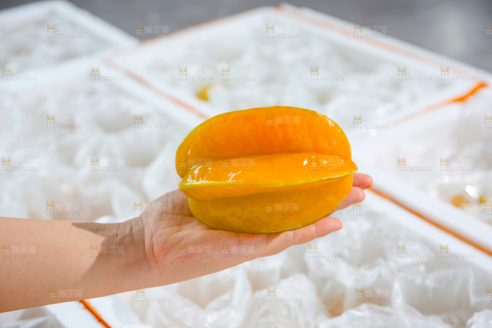 杨桃
