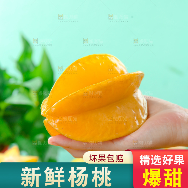 杨桃