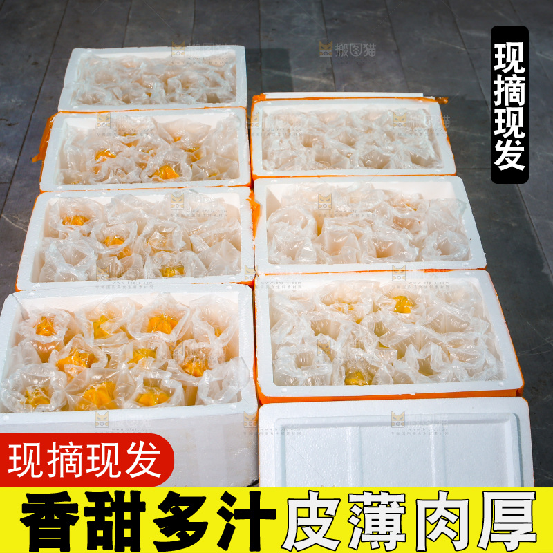 杨桃